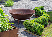 Fire bowl, box hedge, raised bed made of Corten steel