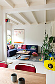 Living room with dark blue sofa, colorful pillows and large houseplant