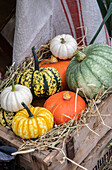 Wooden crate decorated with various pumpkins and straw