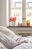 Windowsill with houseplants and candle in the bedroom