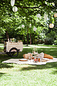 Sommerpicknick im Park mit Decke, Kissen und Getränkewagen