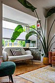 Living room with white sofa, green armchair and large houseplant