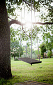 Wooden swing hanging from the tree