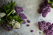 Purple and white lilacs in wooden box on concrete background