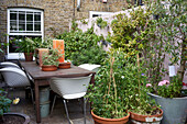 Vintage table with shell chairs and plants in the small courtyard