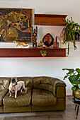 Living room with green leather couch, dog and decorations on wooden shelves