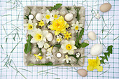 Easter decoration with daffodils and eggs in egg carton on a chequered tablecloth