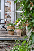 Terrasse mit Blumen in Terrakottatöpfen und Stuhl im Hintergrund