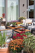Terrace with lounge furniture and colourful summer flowers