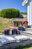 Decorative cushions, flowers in blue pots and steps