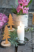 Weiße Kerze, kleine DIY-Tannenbäume, Hyazinthe (Hyacinthus) in dekorativer Dose auf Holztisch