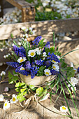 Frühlingsblumenarrangement aus Traubenhyazinthen (Muscari) und Gänseblümchen (Bellis Perennis) auf Holzuntergrund