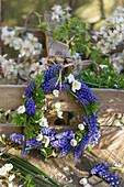 Spring wreath with grape hyacinths (Muscari) and daisies (Bellis perennis) on a wooden base