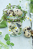 Quail eggs and daisies (Bellis perennis) in a glass jar on a wooden table