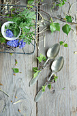 Silver spoon with mini wreath of birch twig and grape hyacinths (Muscari) in eggshells