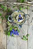 Egg shell filled with grape hyacinths (Muscari) in an enamel pot and bouquet with primrose and grape hyacinths on cake rack