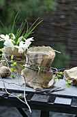 DIY-Vasen aus Weckgläsern und Sackstoff mit Narzissen (Narcissus)