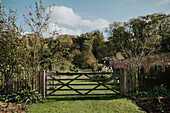 Wooden gate with view of green garden path in autumn