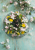 Wreath of apple blossoms and dandelions on a cooling rack