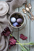 Arrangement mit Silberbesteck, Tulpen (Tulipa) und Ostereiern, gefärbt mit Rotkohl und Rote Bete