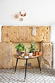 Retro Beistelltisch mit Zimmerpflanzen vor rustikaler Steinwand und gemustertem Boden