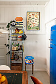 Shelf with supplies and house plant in white kitchen with blue fridge