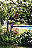 Garten mit blühendem Rittersporn und Pool im Hintergrund