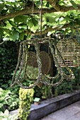 Hanging garden decoration with moss and lichen under a canopy of leaves