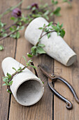 Tall, slender clay pots with beech branches as a cutting aid and for wrapping, tool