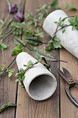 Tall, slender clay pots with beech branches as a cutting aid and wrapped, sorrel leaves, chequerboard flower and tool
