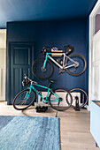 Bicycles in front of and on dark blue wall in hallway with wooden floor and blue carpet