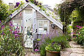 Ländliches Steinhäuschen mit blühendem Lavendel im Vorgarten