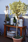 Winter patio decoration with skis, little house and potted plant