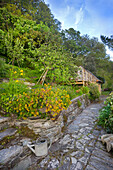 Terraced garden with fruit trees in spring