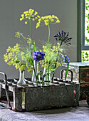 Flower arrangement with dill and cornflowers in old bottle carrier