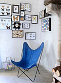 Blue chair and framed butterfly collection in corner of room