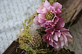 Bark, moss, feathers and Christmas rose blossoms decoration (Helleborus niger)
