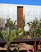 Bedroom module and cactus garden