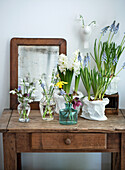 Flower pots and glass vases with hyacinths and muscari on a wooden desk