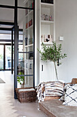 Living room with glass wall, bookshelf and olive tree