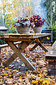 Rustic wooden table with autumn leaves and plant pots in the garden