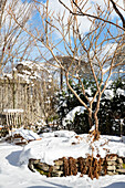 Winterlicher Garten mit schneebedeckter Steinmauer und kahlen Bäumen