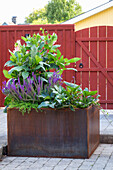 Metal raised bed with ornamental plants in front of red entrance gate