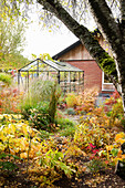 Herbstlicher Garten mit modernem Gewächshaus