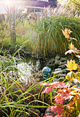 Kleiner Teich im herbstlichen Garten mit Ziergräsern und Ahornblättern