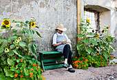 Elderly woman sitting on a green bench surrounded by sunflowers (Helianthus) and nasturtiums (Tropaeolum)