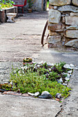 Small herb bed with stone border on the patio