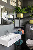 Modern bathroom in grey tones with white sink and green houseplants