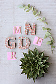 Letter decoration on concrete background with echeveria plant and eucalyptus branch