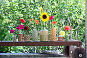 Colourful summer flowers in macram� vases on garden bench